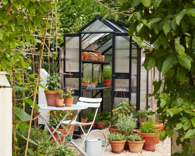 Small Greenhouses For Backyards Greenhouse Growing For Beginners