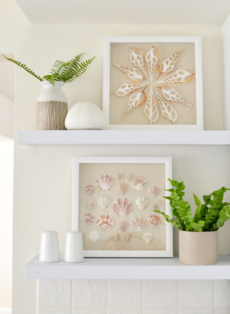 DIY Shell Shadow Boxes | Centsational Style